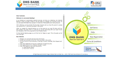 Desktop Screenshot of dnsb.in